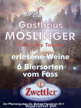Gasthaus Mslinger Wien. Der Pfannengucker / Dr. Michael Populorum